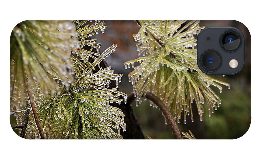 Ice iPhone 13 Case featuring the photograph Icy Pine by Mark McKinney
