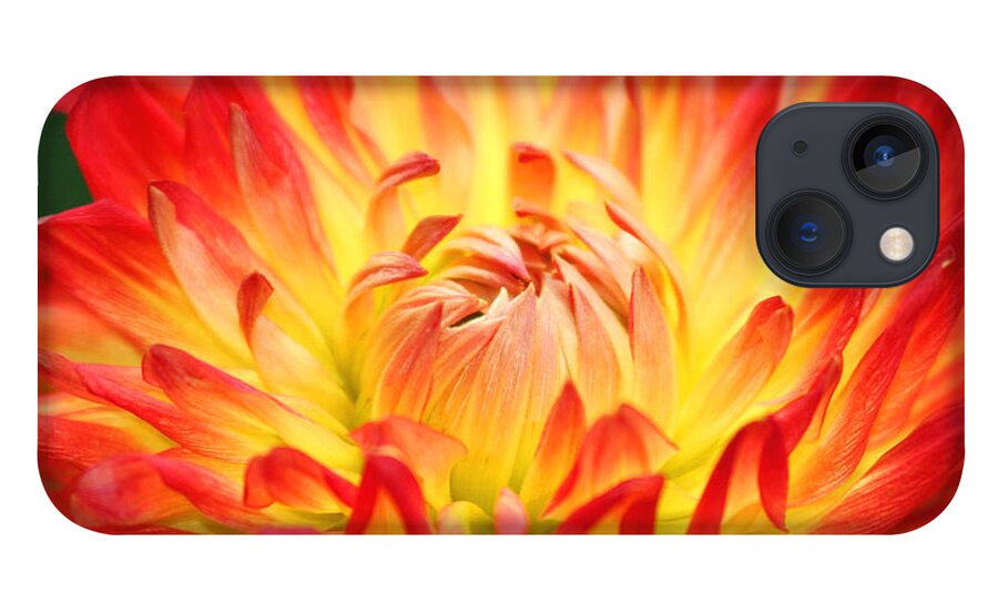 Flower iPhone 13 Case featuring the photograph Img 0023 Flor En Rojo Detalle by Francisco Pulido