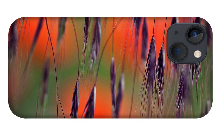 Abstract iPhone 13 Case featuring the photograph In the Meadow by Heiko Koehrer-Wagner