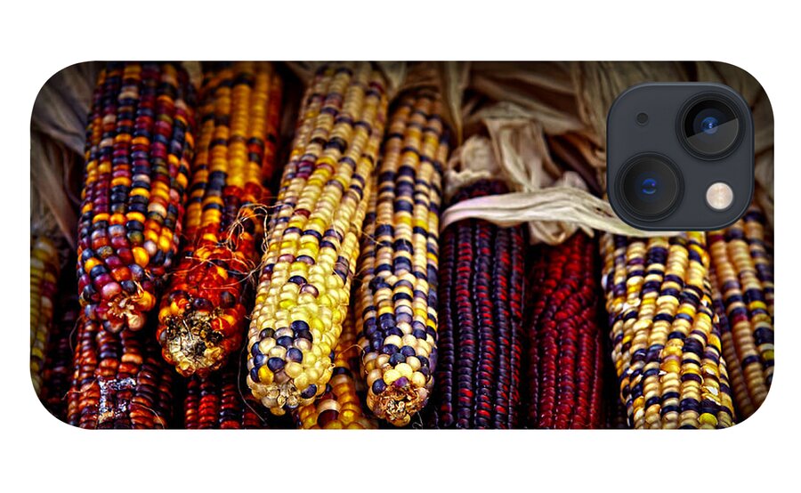 Corn iPhone 13 Case featuring the photograph Indian corn by Elena Elisseeva