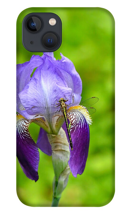 Iris Germanica iPhone 13 Case featuring the photograph Iris and the Dragonfly 7 by Jai Johnson