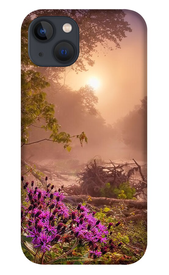 2013 iPhone 13 Case featuring the photograph Ironweed in Mist by Robert Charity