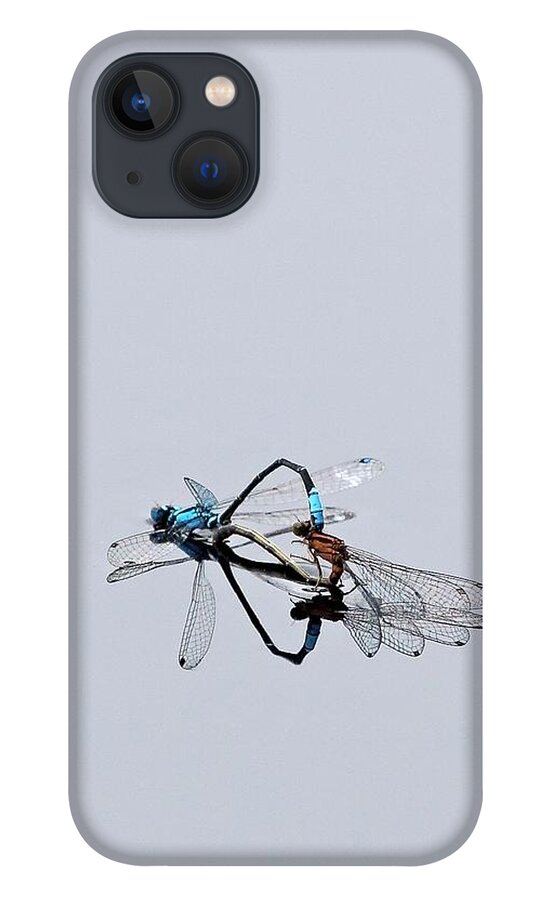 Ischnura Kellicotti iPhone 13 Case featuring the photograph It Must Be Love by Jeff Sinon