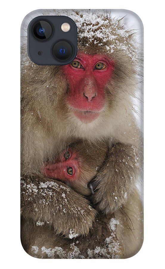 Thomas Marent iPhone 13 Case featuring the photograph Japanese Macaque Warming Baby by Thomas Marent