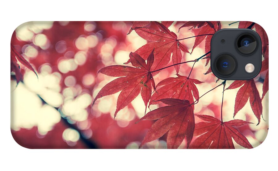 Autumn iPhone 13 Case featuring the photograph Japanese Maple Leaves - Vintage by Hannes Cmarits