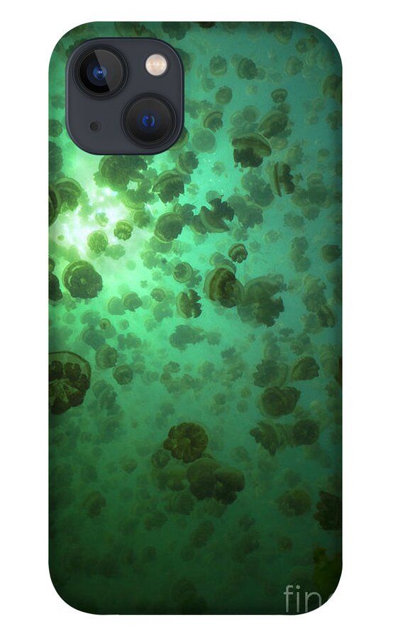 Jellyfish Lake iPhone 13 Case featuring the photograph Jellyfish swarm by Aaron Whittemore