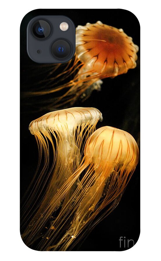 Coastal iPhone 13 Case featuring the photograph Jellyfish Trio Floating Against a Black by Angela Rath