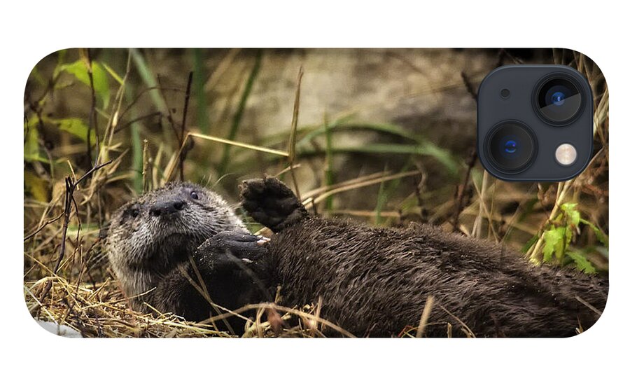 Otter iPhone 13 Case featuring the photograph Kickin' Back by Michael Dougherty