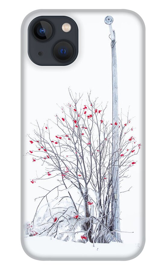 Abandoned iPhone 13 Case featuring the photograph Lamp Post by Jakub Sisak