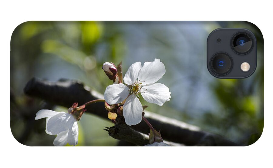 Green iPhone 13 Case featuring the photograph Late Spring Blossom by Spikey Mouse Photography