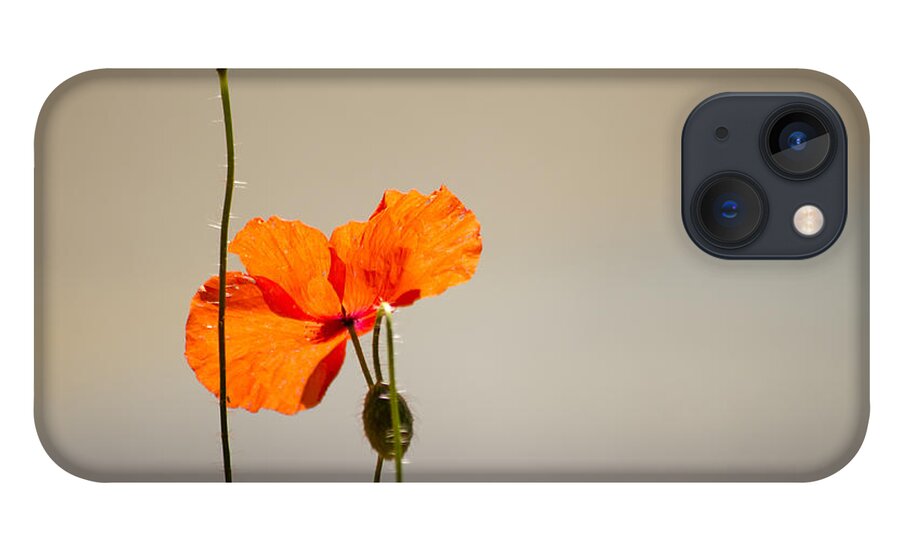 Poppy iPhone 13 Case featuring the photograph Life by Spikey Mouse Photography