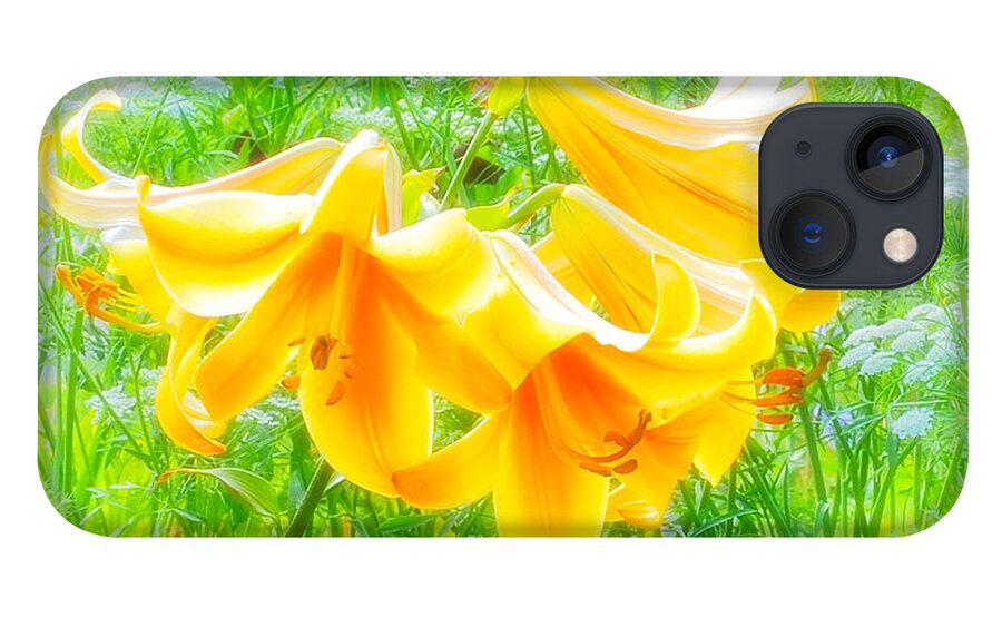 Flowers iPhone 13 Case featuring the photograph Lilies Back-Lit by Michael Hubley