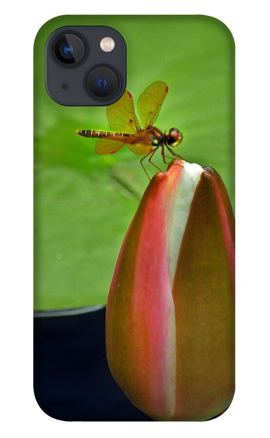 Nature iPhone 13 Case featuring the photograph Lily Pond Amberwing by Deborah Smith