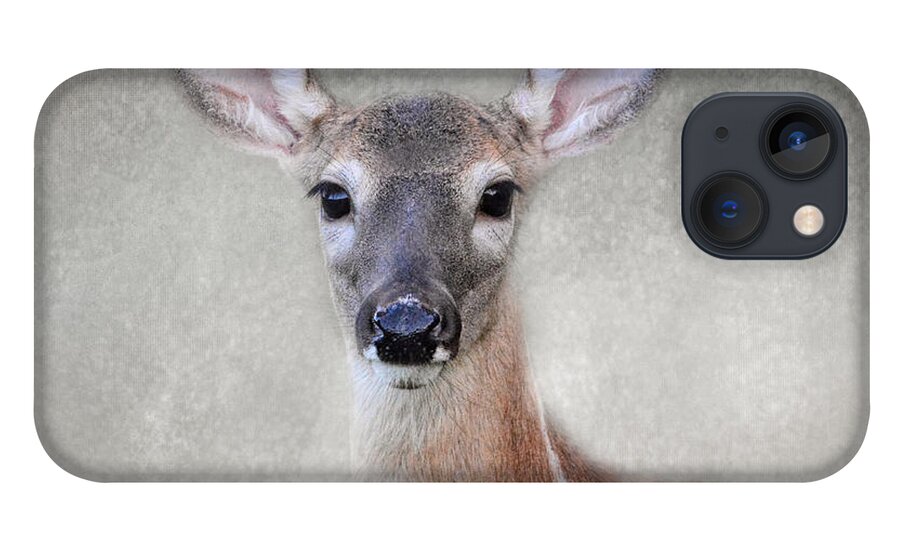 Jai Johnson iPhone 13 Case featuring the photograph Little Miss Lashes - White Tailed Deer - Fawn by Jai Johnson