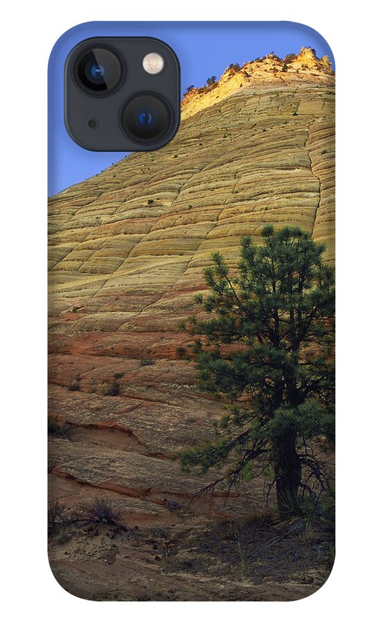 Pine iPhone 13 Case featuring the photograph Lonely At The Bottom by Paul Breitkreuz