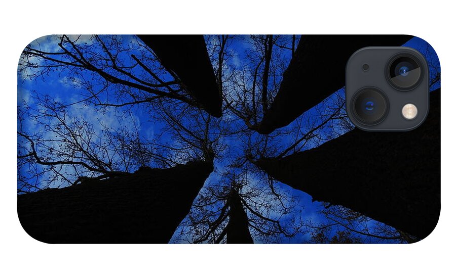 Trees iPhone 13 Case featuring the photograph Looking Up by Raymond Salani III