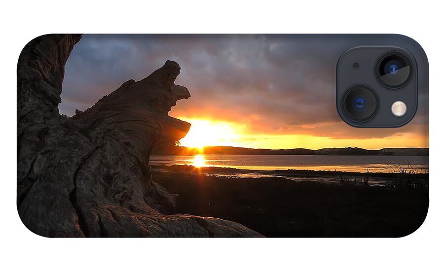 Los Osos iPhone 13 Case featuring the photograph Los Osos Driftwood by Paul Foutz