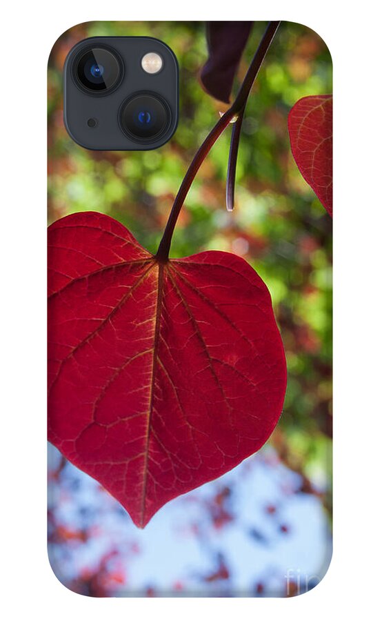 Heart iPhone 13 Case featuring the photograph Love is Everywhere by Chris Scroggins