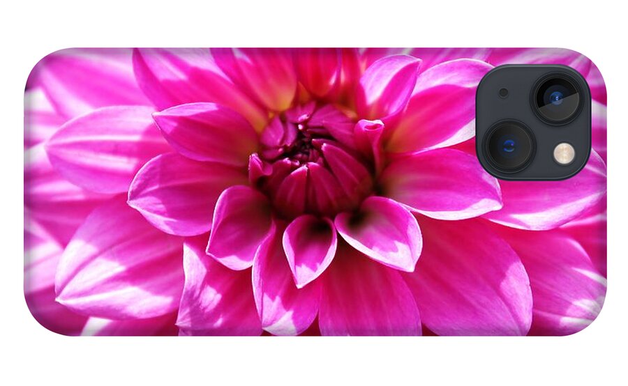 Flowers iPhone 13 Case featuring the photograph Lush Pink Dahlia by Judy Palkimas