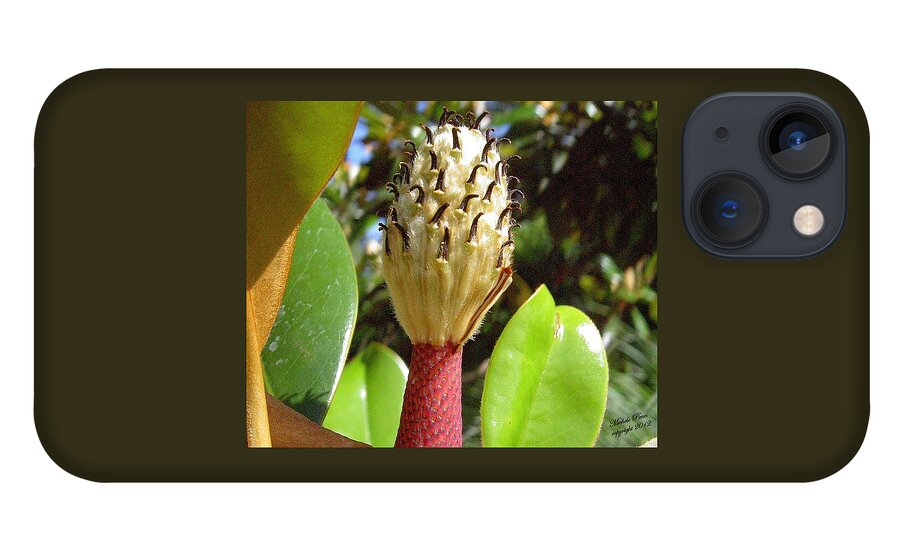 Flower Photograph iPhone 13 Case featuring the photograph Magnolia Faith by Michele Penn
