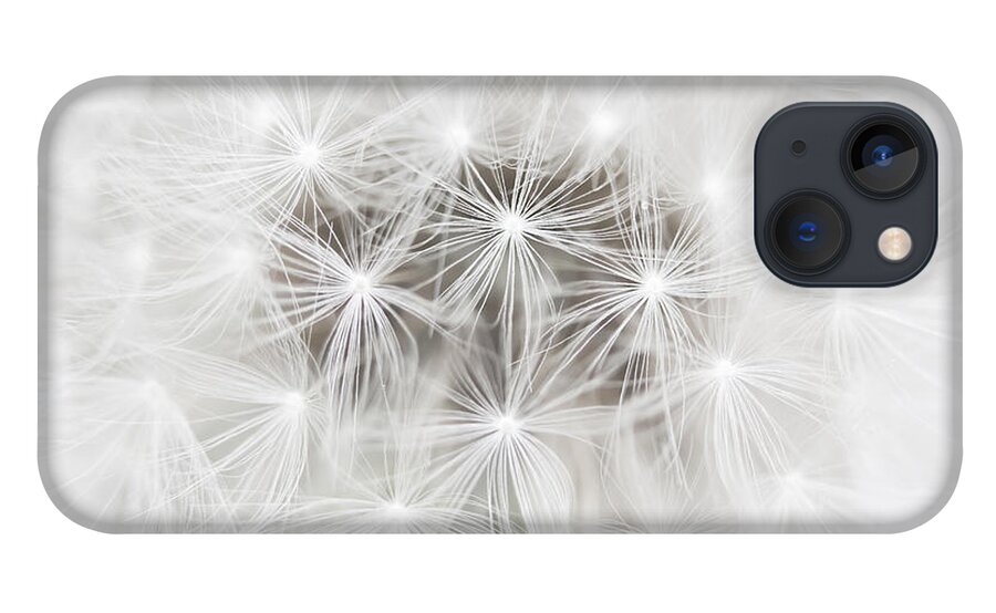 Dandelion iPhone 13 Case featuring the photograph Make a Wish by Patty Colabuono