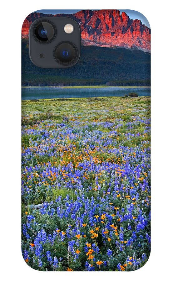 Wildflowers iPhone 13 Case featuring the photograph Many Glacier Morning by Aaron Whittemore