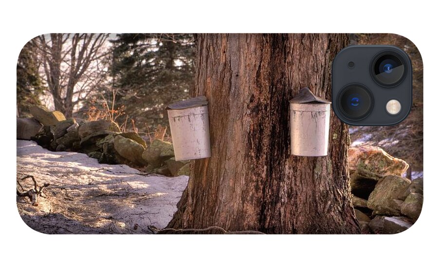 Maple Tree iPhone 13 Case featuring the photograph Maple Syrup Buckets by Tom Singleton