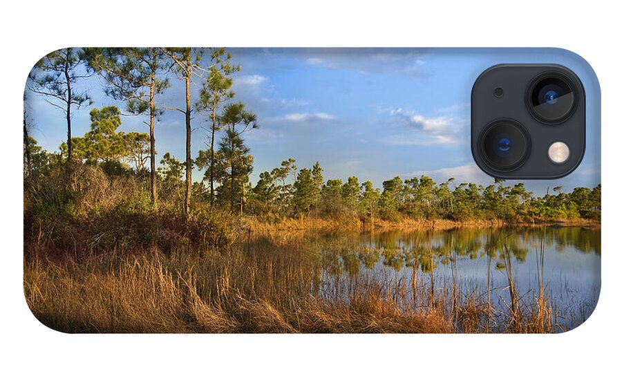 Tim Fitzharris iPhone 13 Case featuring the photograph Marsh And Trees Saint George Isl Florida by Tim Fitzharris