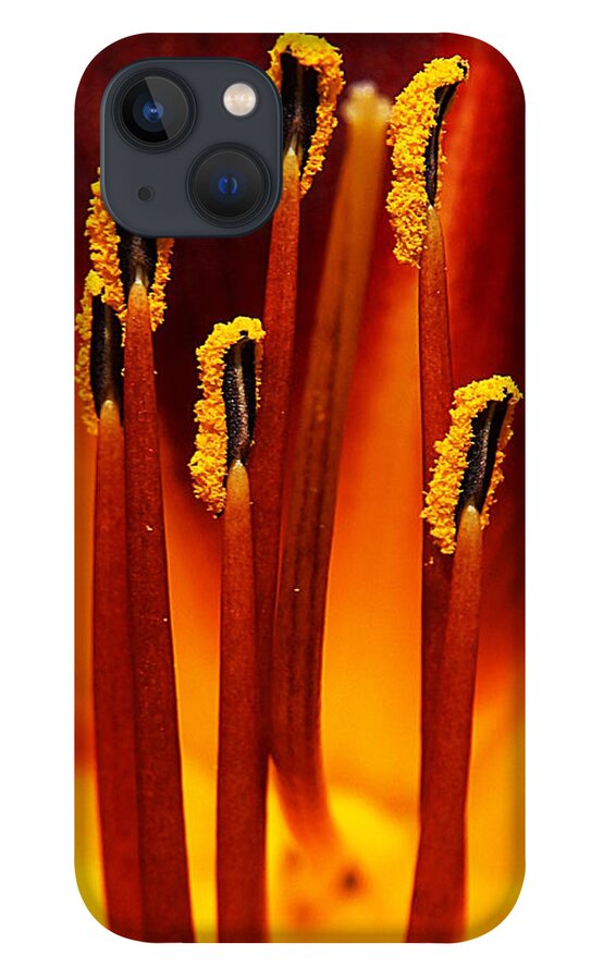 Match Flame - Nigel Watts iPhone 13 Case featuring the photograph Match Flame by Nigel Watts