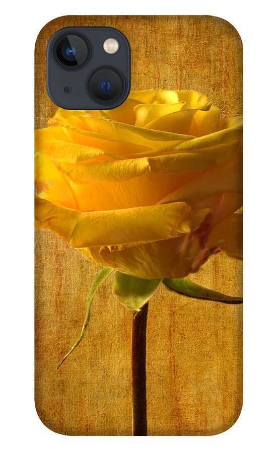 Yellow Rose iPhone 13 Case featuring the photograph Mellow Yellow by Marina Kojukhova