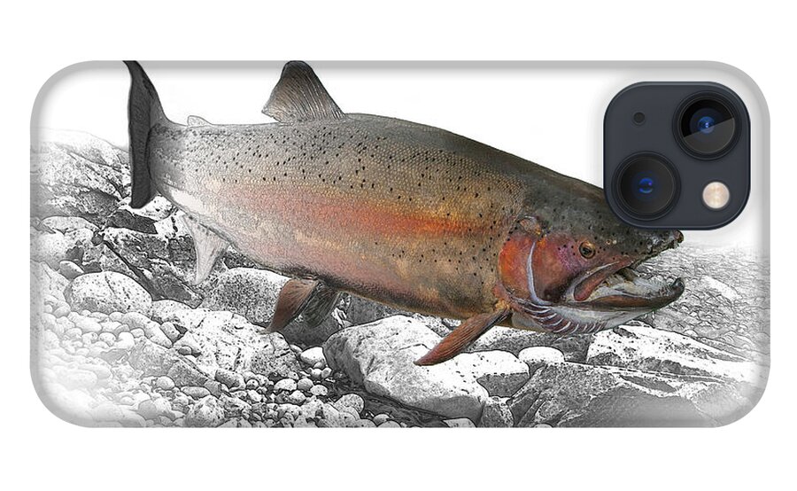 Trout iPhone 13 Case featuring the photograph Migrating Steelhead Rainbow Trout by Randall Nyhof