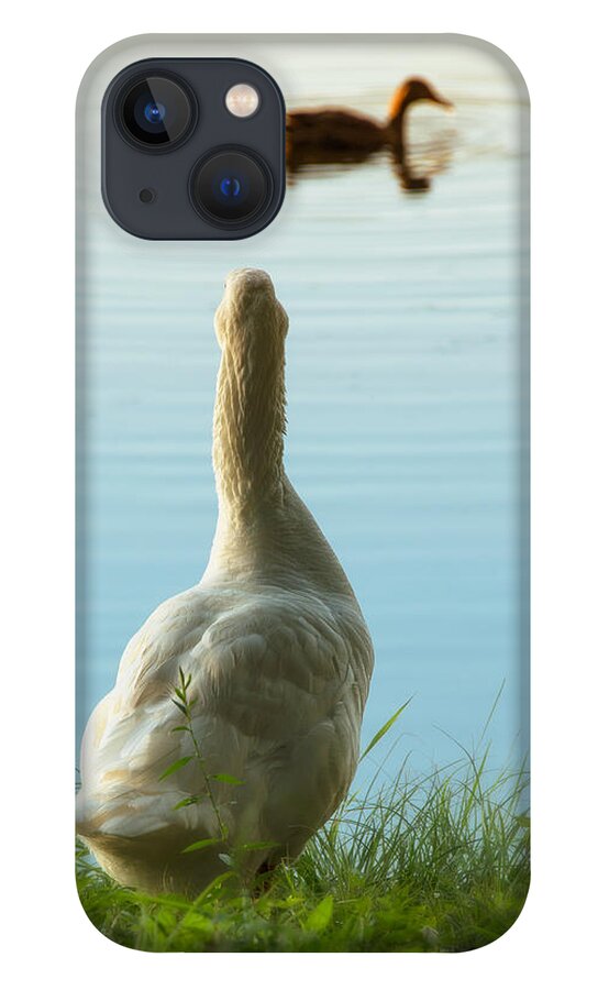 Duck iPhone 13 Case featuring the photograph Miss You Already by Joe Ownbey