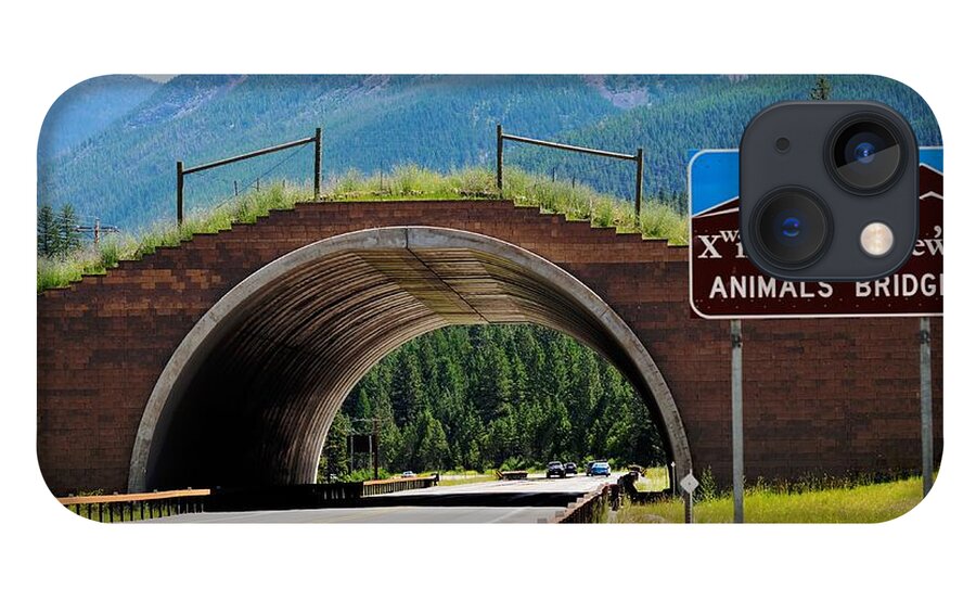 Landscape iPhone 13 Case featuring the photograph Montana Highway - #2 Animals' Bridge by Kae Cheatham
