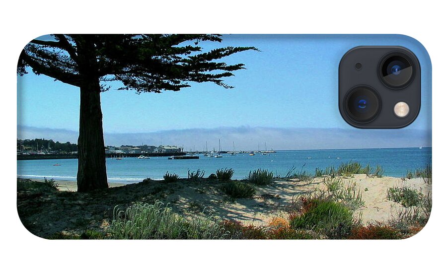 Monterey iPhone 13 Case featuring the photograph Monterey Dunes by Derek Dean