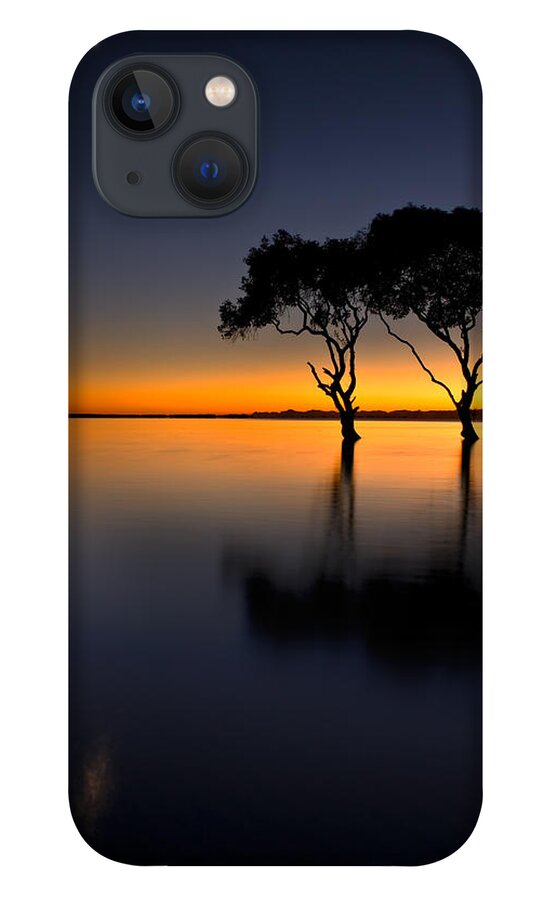 2010 iPhone 13 Case featuring the photograph Moon over Mangrove Trees by Robert Charity