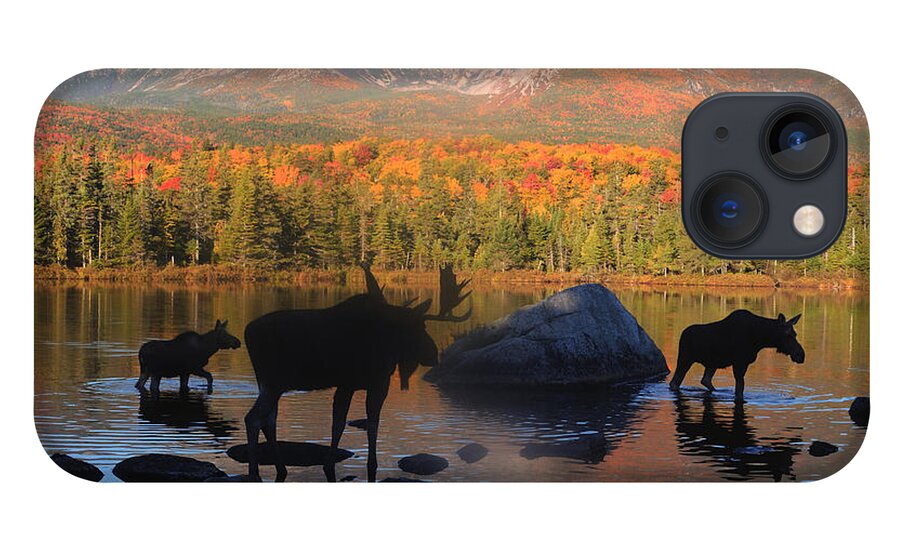 Moose iPhone 13 Case featuring the photograph Moose Family Scenic by Jane Axman