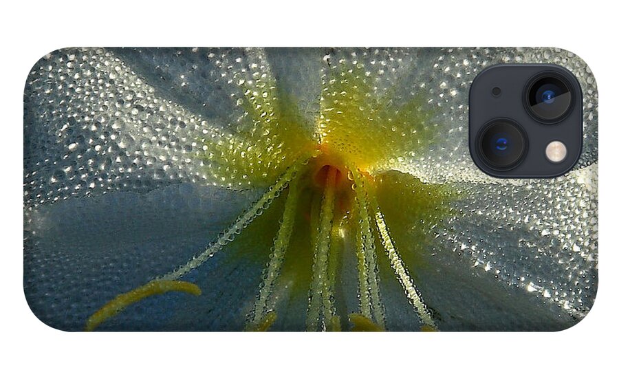 Nature iPhone 13 Case featuring the photograph Morning Dew by Steven Reed