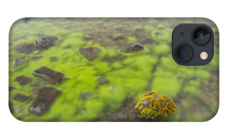 Flpa iPhone 13 Case featuring the photograph Mossy Stone In Lake Thingvallavatn by Bill Coster