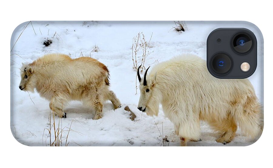 Mountain Goats iPhone 13 Case featuring the photograph Mother and Child by Dorrene BrownButterfield