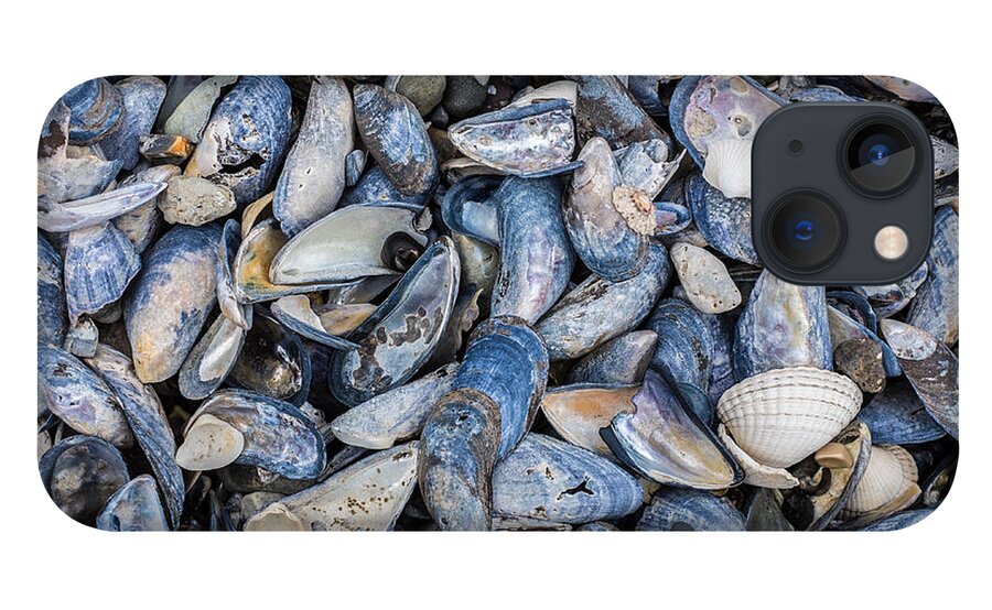 Mussel iPhone 13 Case featuring the photograph Mussel Beach by Nigel R Bell