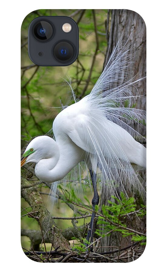 Egret iPhone 13 Case featuring the photograph My Beautiful Plumage by Kathy Baccari
