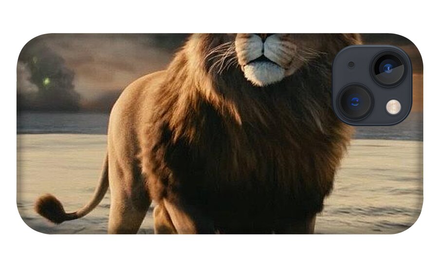 Aslan.. One of the best moments in that movie.