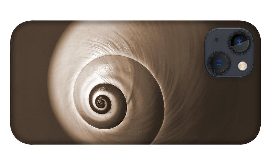 Sea iPhone 13 Case featuring the photograph Nautilus in Sepia by Deborah Smith