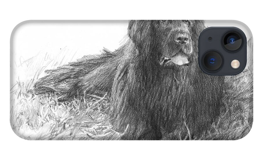<a Href=http://miketheuer.com Target =_blank>www.miketheuer.com</a> Newfoundland Dog Pencil Portrait iPhone 13 Case featuring the drawing Newfoundland Dog Pencil Portrait by Mike Theuer