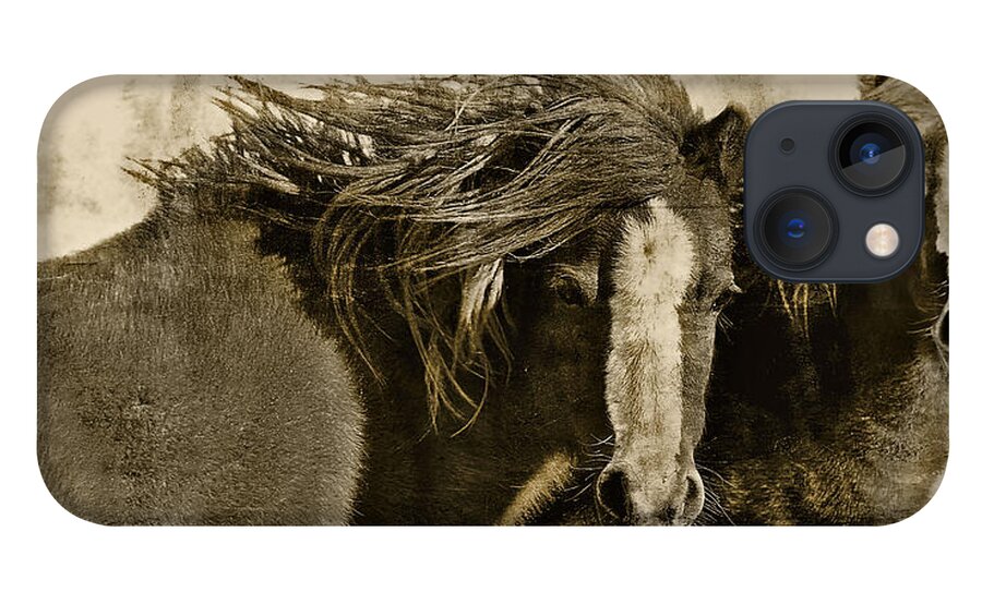 Pony iPhone 13 Case featuring the photograph Winds of Time by Amanda Smith