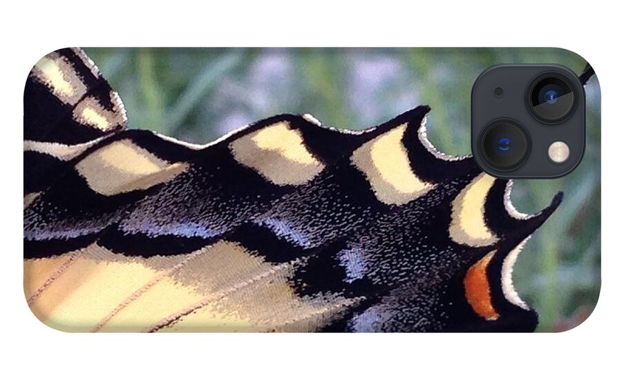 Butterfly iPhone 13 Case featuring the photograph One last chance... by Kate Gibson Oswald