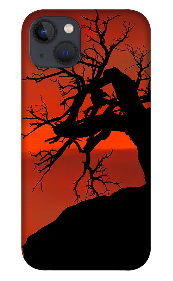 Zion iPhone 13 Case featuring the photograph One Tree Hill Silhouette by Greg Norrell