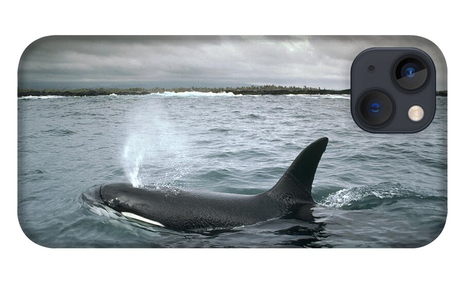 Feb0514 iPhone 13 Case featuring the photograph Orca Galapagos Islands by Tui De Roy
