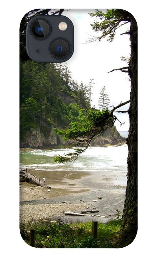 Old Growth iPhone 13 Case featuring the photograph Oswald West 2 by Laureen Murtha Menzl