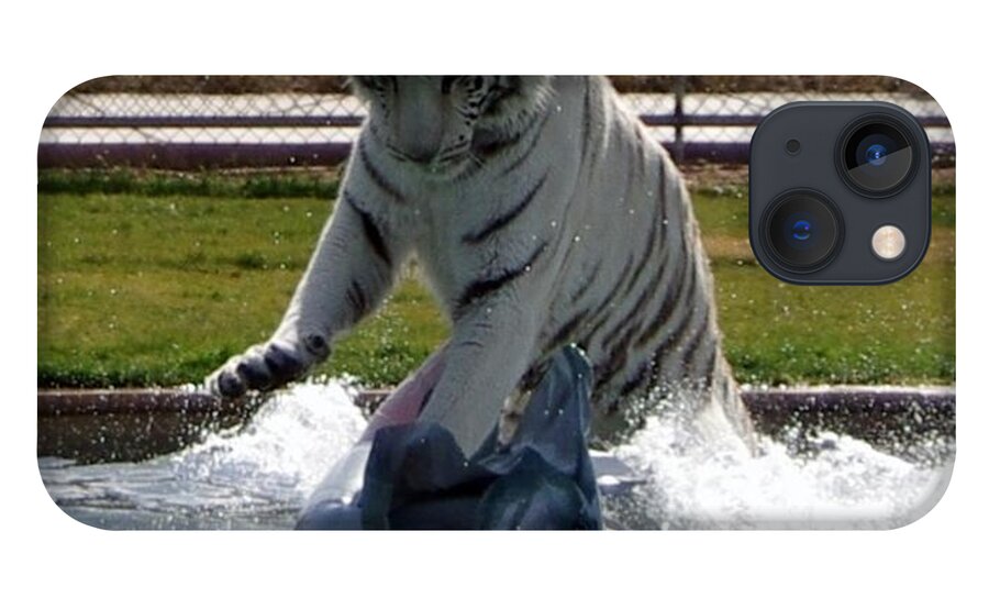 White Tiger iPhone 13 Case featuring the photograph Out of Africa Tiger Splash 1 by Phyllis Spoor